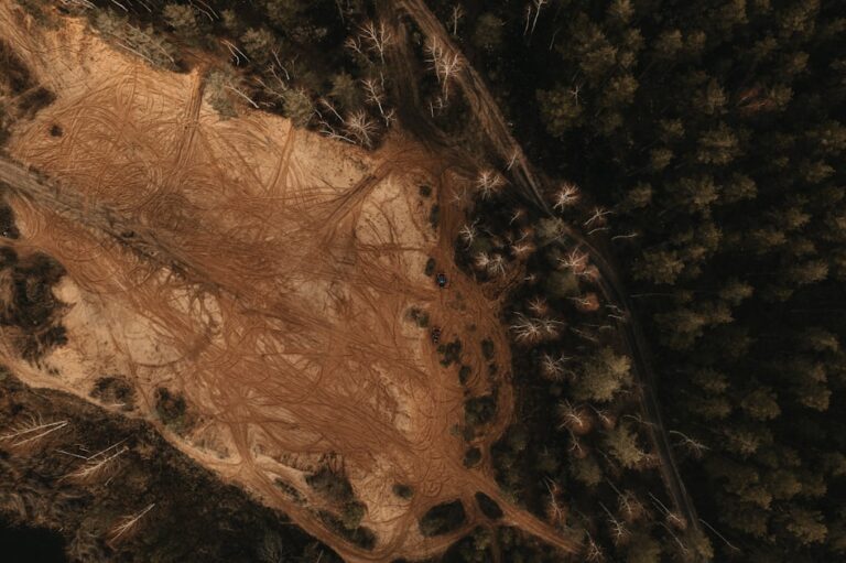 Essential Steps for Effective Land Clearing
