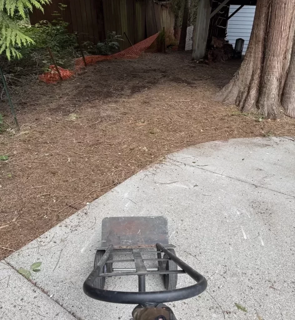 Cleared outdoor area after remodel debris removal in Woodinville